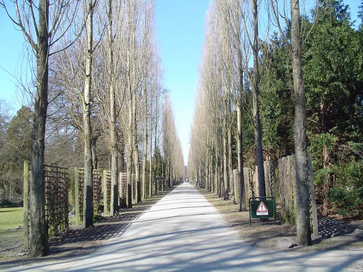 Assistens Cemetery — location photo