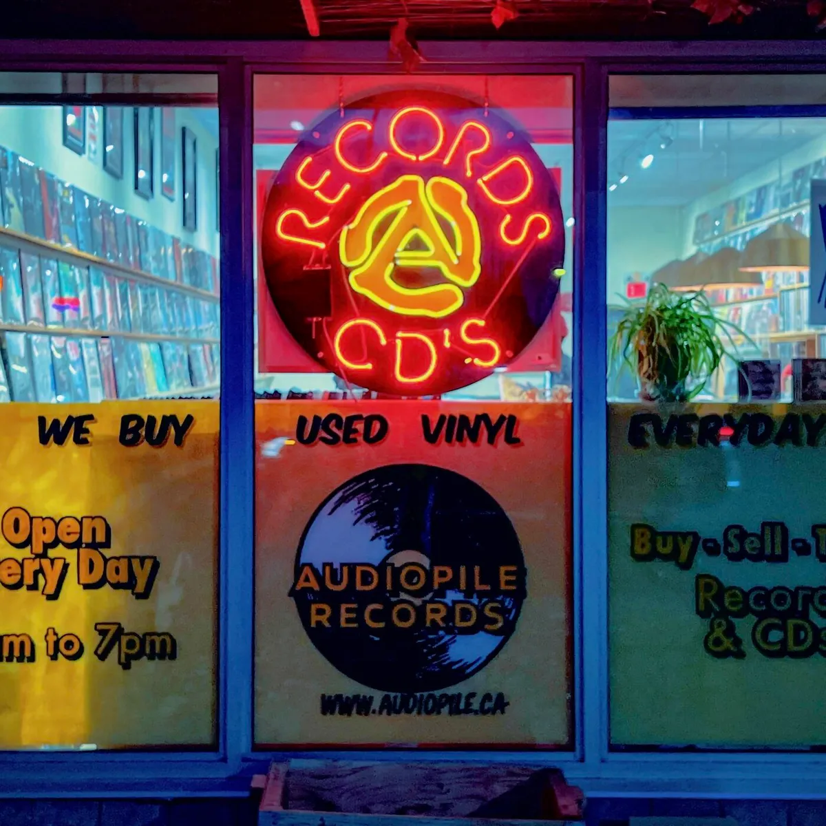 Audiopile — location photo